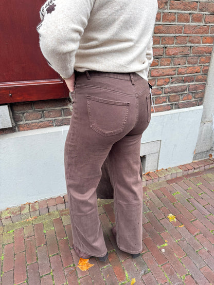 Broek Daan