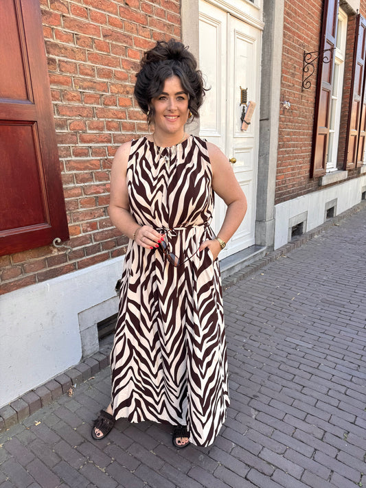 Jurk Pien Bruin