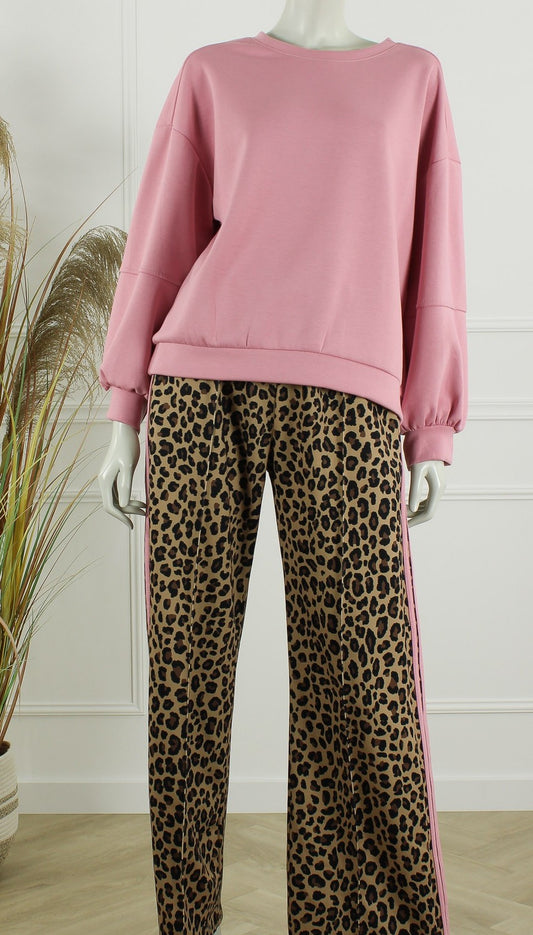 Set Lottie Lichtroze