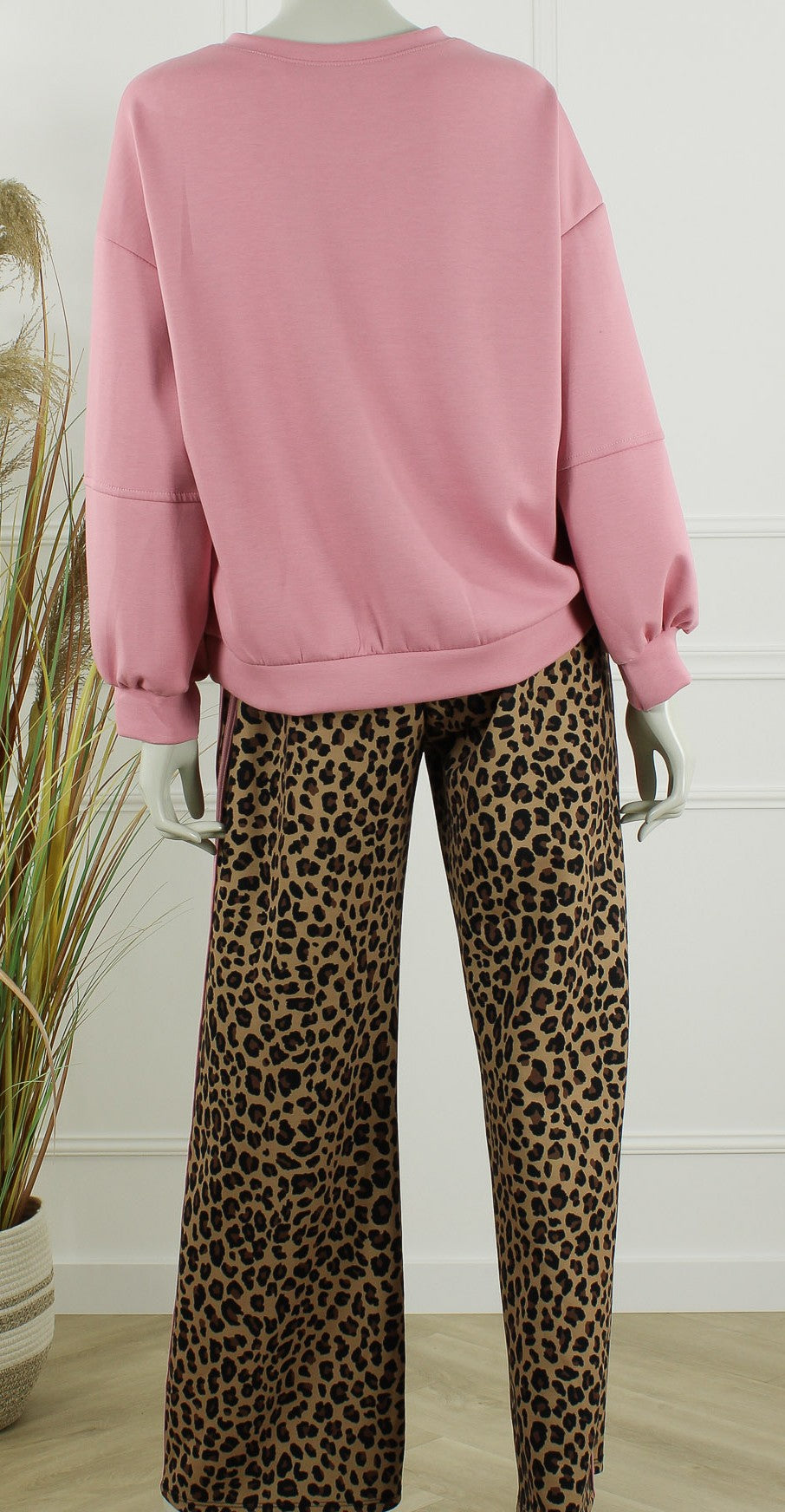 Set Lottie Lichtroze